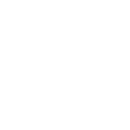 Magnolia Moss Events WHITE LOGO (256 x 256 px)